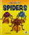Spiders - 9781647471897 by Ruth Owen, 9781647471897