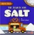 The Search for Salt by Shalini Vallepur, 9781647473297