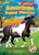 American Paint Horses - 9781644872314 by Rachel Grack, 9781644872314 American Paint Horses - 9781644872314 by Rachel Grack, 9781644872314