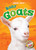 Baby Goats - 9781600149276 by Dana Fleming, Kari Schuetz, 9781600149276