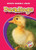 Ducklings - 9781600141676 by Colleen Sexton, Mandy Kaplan, 9781600141676