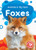 Foxes - 9781681037950 by Amy McDonald, Dana Fleming, 9781681037950