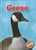 Geese - 9781600147227 by Megan Borgert-Spaniol, Dana Fleming, 9781600147227