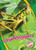 Grasshoppers - 9781626176652 by Patrick Perish, 9781626176652