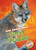 Gray Foxes by Rebecca Sabelko, 9781626179127