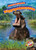 Hippopotamuses - 9781626179899 by Rachel Grack, 9781626179899