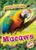 Macaws by Karen Latchana Kenney, Dana Fleming, 9781644872253