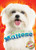 Maltese - 9781644871157 by Kaitlyn Duling, 9781644871157