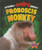 Proboscis Monkey by Lisa Owings, 9781626170773
