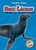 Sea Lions - 9781600143731 by Colleen Sexton, Mandy Kaplan