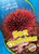 Sea Urchins - 9781626176461 by Heather Adamson, 9781626176461