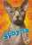 Sphynx - 9781626172364 by Rebecca Felix, 9781626172364