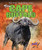 The Cape Buffalo by Lisa Owings, 9781600147418
