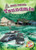 Tsunamis - 9781618917492 by Betsy Rathburn, 9781618917492