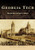 Georgia Tech by Matthew Hild, David Morton, 9781467129602