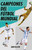 Campeones del fútbol mundial / Champions of Men's Soccer (Spanish Edition) by Ann Killion, 9780593082386
