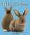 Back and Front - 9781598452594 by Jane Katirgis, 9781598452594