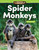 Amazing Animals: Spider Monkeys (Place Value) by Logan Avery, 9781425856786