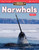 Amazing Animals: Narwhals (Addition) by Logan Avery, 9781425856809
