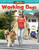 Amazing Animals: Working Dogs (Summarizing Data) by Lisa Steele MacDonald, Lisa MacDonald, 9781425858957