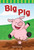Big Pig - 9781433329296 by Sharon Coan, 9781433329296