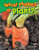 What Makes a Plant? by Christina Hill, 9781480745599