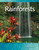 Rainforests - 9781433303197 by Yvonne Franklin, 9781433303197