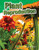 Plant Reproduction by Shelly Buchanan, Shelly Buchanan, 9781480746763