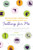 Falling for Me (How I Hung Curtains, Learned to Cook, Traveled to Seville, and Fell in Love) by Anna David, 9780061996047