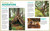 Backpack Explorer: Discovering Trees (What Will You Find?) by Editors of Storey Publishing, Oana Befort, 9781635863468