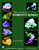 The World of Fluorescent Minerals by Stuart Schneider, 9780764325441