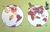 Chicken Talk Around the World by Carole Lexa Schaefer, Pierr Morgan, 9781632172914