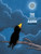 The Little Moon Raven by Marcus Pfister, Marcus Pfister, 9789888240814