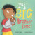It's Big Brother Time! by Nandini Ahuja, Catalina Echeverri, 9780062884374