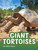 Giant Tortoises by Jaclyn Jaycox, 9781977132970