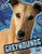 Greyhounds - 9781429677134 by Charlotte Wilcox, 9781429677134