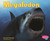 Megalodon by Janet Riehecky, Jon Hughes, 9780736853545