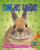 Conejos amigos by Pat Jacobs, 9780778784401