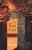 The Far Field (A Novel of Ceylon) by Edie Meidav, 9780618219162