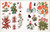 The Botanist's Sticker Anthology (With More Than 1,000 Vintage Stickers) by DK, 9780744036725