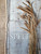Spelt (Cakes, cookies, breads & meals from the good grain) - 9781848992290 by Roger Saul, 9781848992290