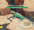 Sobre los reptiles (Una guía para niños (Libro educativo de ciencia para el aprendizaje STEM)) (Spanish Edition) by Cathryn Sill, John Sill, 9781682632314