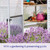 Lavender (50 Self-Care Recipes and Projects for Natural Wellness) by Bonnie Louise Gillis, 9781632173492