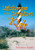 Lighthouses of the Carolinas for Kids by Terrance Zepke, 9781561644292