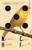 Natural History (A Novel) - 9781250798541 by Carlos Fonseca, Megan McDowell, 9781250798541