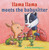 Llama Llama Meets the Babysitter by Anna Dewdney, JT Morrow, Reed Duncan, 9780593350331