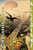 Allegiant Anniversary Edition by Veronica Roth, 9780063040533