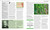 The Biology Book (Big Ideas Simply Explained) by DK, 9780744027389