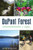 DuPont Forest (A History) by Danny Bernstein, 9781467146883