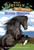 Horse Heroes (A Nonfiction Companion to Magic Tree House Merlin Mission #21: Stallion by Starlight) by Mary Pope Osborne, Natalie Pope Boyce, Sal Murdocca, 9780375870262 Horse Heroes (A Nonfiction Companion to Magic Tree House Merlin Mission #21: Stallion by Starlight) by Mary Pope Osborne, Natalie Pope Boyce, Sal Murdocca, 9780375870262
